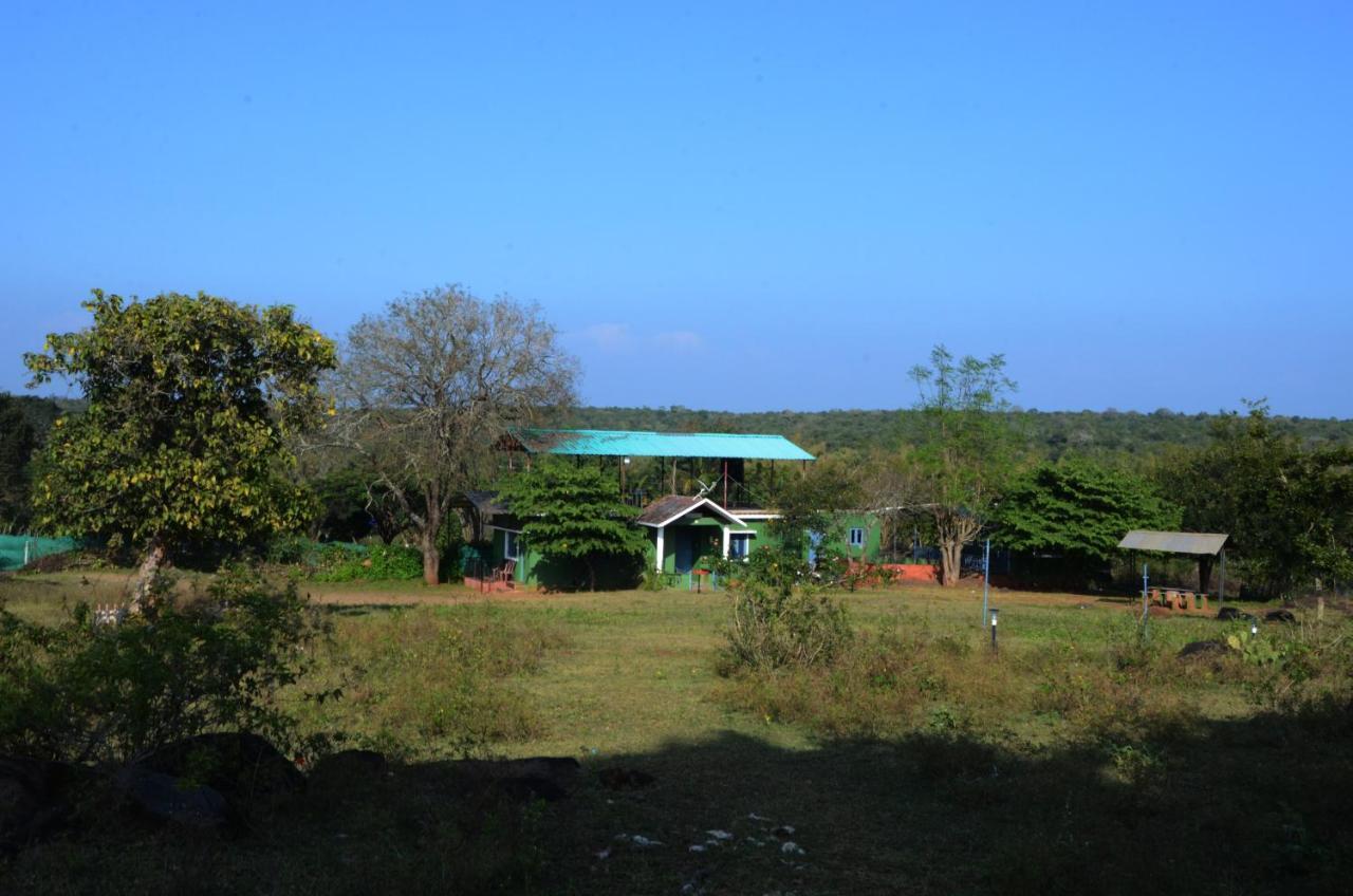 Aarraams Farms & Resorts Masinagudi Εξωτερικό φωτογραφία